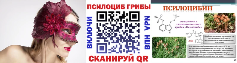 купить закладку  Нягань  Галлюциногенные грибы Psilocybe 